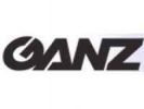 GANZ ZN8-CAN PL 4.17 CB B