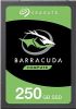 G Seagate 2,5 Zoll SSD 250GB