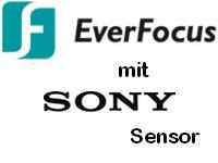 EverFocus eZ.HD / Analog HD