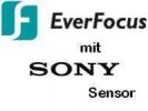 EverFocus HD-SDI, AHD, 960H, CVBS