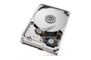 Hanwha Techwin HDD10TBSGv2-KIT Seagate SkyHawk AI 10TB 3.5 Zoll Festplatte (ST10000VE001), für Hanwha Techwin NVR und DVR