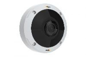 Axis AXIS M3058-PLVE 1/1,7 Zoll Netzwerk Dome, Fix, Tag/Nacht, 4000x3000, 1,3mm, 360°, HDMI, Infrarot, IP66